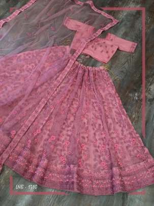 vaishanavi  embroidery work lehenga