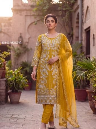 Women Party Wear Suit with Detailed Embroidery