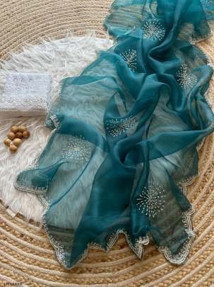 Women Wear Rama Handwork Organza Saree With Blouse
