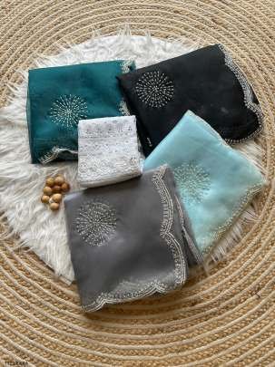 Women Wear Rama Handwork Organza Saree With Blouse